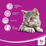 WHISKAS 1+ Zuppa Cremosa Gusti Tradizionali 4 x 85g
