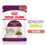 ROYAL CANIN Sensory smell gravy 12x85 g