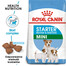 ROYAL CANIN Mini Starter Mother& Babydog 4kg cibo secco per la gravidanza, allattamento e cuccioli da 4 a 8 settimane, razze piccole