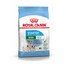 ROYAL CANIN Mini Starter Mother& Babydog 4kg cibo secco per la gravidanza, allattamento e cuccioli da 4 a 8 settimane, razze piccole