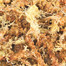 TRIXIE Substrato muschio di torba (sfagno) 100 g