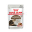 ROYAL CANIN Ageing 12 + 0.085 kg