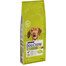 PURINA Dog Chow Adult agnello 14 kg