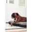 FERA Sunset Ponton letto per cani M 82 x 57 cm
