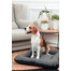 FERA Sunset Ponton letto per cani XL 114 x 83 x 10 cm