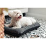 FERA Sunset Ponton letto per cani XL 114 x 83 x 10 cm