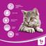 WHISKAS Adult Manzo 800g x 5