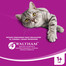 WHISKAS Adult Manzo 800g x 5