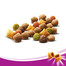 WHISKAS Adult Manzo 800g x 5