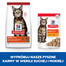 HILL'S Science Plan Feline Adult with Lamb 10kg