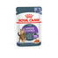 ROYAL CANIN Appetite Control Jelly 48x85 g Cibo umido per gatti adulti con un appetito eccessivo