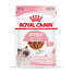 ROYAL CANIN Kitten Instinctive 24x85 g cibo umido in salsa per gattini fino a 12 mesi di età