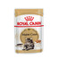 ROYAL CANIN Mainecoon 24x85 g