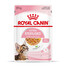 ROYAL CANIN Kitten Sterilised  in gelatina 24 x 85 g