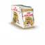 ROYAL CANIN Shih Tzu Adult Loaf 24 x 85 g pezzi in salsa, per cani shih tzu adulti