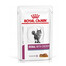 ROYAL CANIN Renal Feline pollo 48 x 85 g