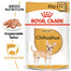 ROYAL CANIN Chihuahua Adult 4x12x85g cibo umido specifico per cani Chihuahua adulti