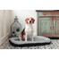 FERA Sky Ponton letto per cani XL 116 x 83 cm