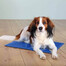 TRIXIE Tappetino rinfrescante per cani blu 40 × 30cm