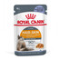 ROYAL CANIN Intense Beauty Jelly 12 x 85 g