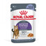ROYAL CANIN Appetite Control Jelly 12 x 85g