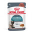 ROYAL CANIN Hairball Care 85 g x 12