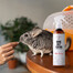 PETS Home Mist Perfume Sea Breeze 250ml neutralizzante degli odori per interni