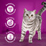 WHISKAS Adult 52x85g Variazioni cremose di cibo umido per gatti adulti in salsa con: pollo e verdure, agnello e tacchino
