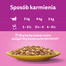 WHISKAS Adult 52x85 g Poultry feast cibo umido per gatti adulti in gelatina con: pollo, tacchino