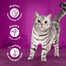 WHISKAS Adult 52x85 g Poultry feast cibo umido per gatti adulti in gelatina con: pollo, tacchino