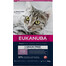 EUKANUBA Grain Free Kitten Salmone 10 kg per gattini in crescita