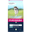 EUKANUBA Grain Free L Adult Agnello 12 kg per cani adulti di taglia grande