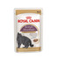 ROYAL CANIN British Shorthair cibo umido in salsa per gatti adulti British Shorthair 24x85 g