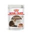 ROYAL CANIN  Ageing +12 48x85 g cibo umido in salsa per gatti maturi
