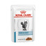 ROYAL CANIN Cat Skin & Coat  48 x 85 g cibo umido per gatti adulti con pelle sensibile
