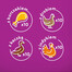 WHISKAS Adult 40x85g Poultry Flavours - cibo umido per gatti in gelatina (pollo, anatra, pollame, tacchino)