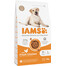 IAMS ProActive Health Adult Large Breed Chicken 3 kg