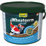 TETRA Pond Wheatgerm Sticks 10l Mangime completo per tutti i pesci da laghetto
