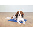 TRIXIE Tappeto rinfrescante per cani blu 100 x 60cm