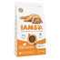 IAMS for Vitality Kitten cibo secco per gattini con pollo fresco 3 kg