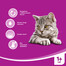 WHISKAS 1+ Salmone in salsa 100 g