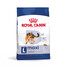 ROYAL CANIN Maxi Adult 15 kg cibo secco per cani adulti fino a 5 anni di età, razze grandi