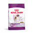 ROYAL CANIN Giant Adult 15kg cibo secco per cani adulti, dai 18/24 mesi di età, razze grandi