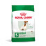 ROYAL CANIN Mini Adult 8+ 2 kg cibo secco per cani anziani da 8 a 12 anni di età, razze di piccola taglia