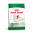 ROYAL CANIN Mini Adult 8kg cibo secco per cani adulti, razze piccole