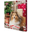 TRIXIE Calendario dell'Avvento per cani Natale