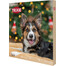 TRIXIE Calendario dell'Avvento per cani Natale