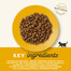 APPLAWS Kitten alimento senza cereali con pollo per gattini 400g