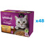 WHISKAS Adult 48x85g Alimento umido in gelatina di pollame per gatti adulti con: pollo, tacchino, pollame, anatra