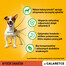 PEDIGREE Adult Selezione di sapori 4x100g cibo umido per cani adulti pezzi in gelatina ricchi di manzo e fegato e pezzi ricchi di pollame